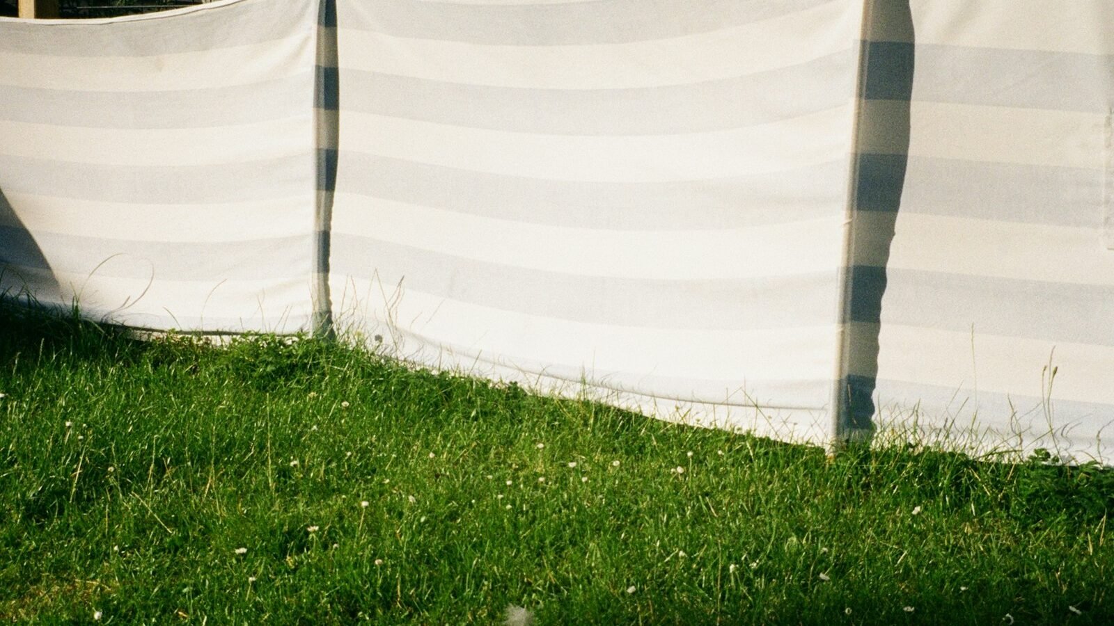 Outdoor privacy screen in a UK back garden