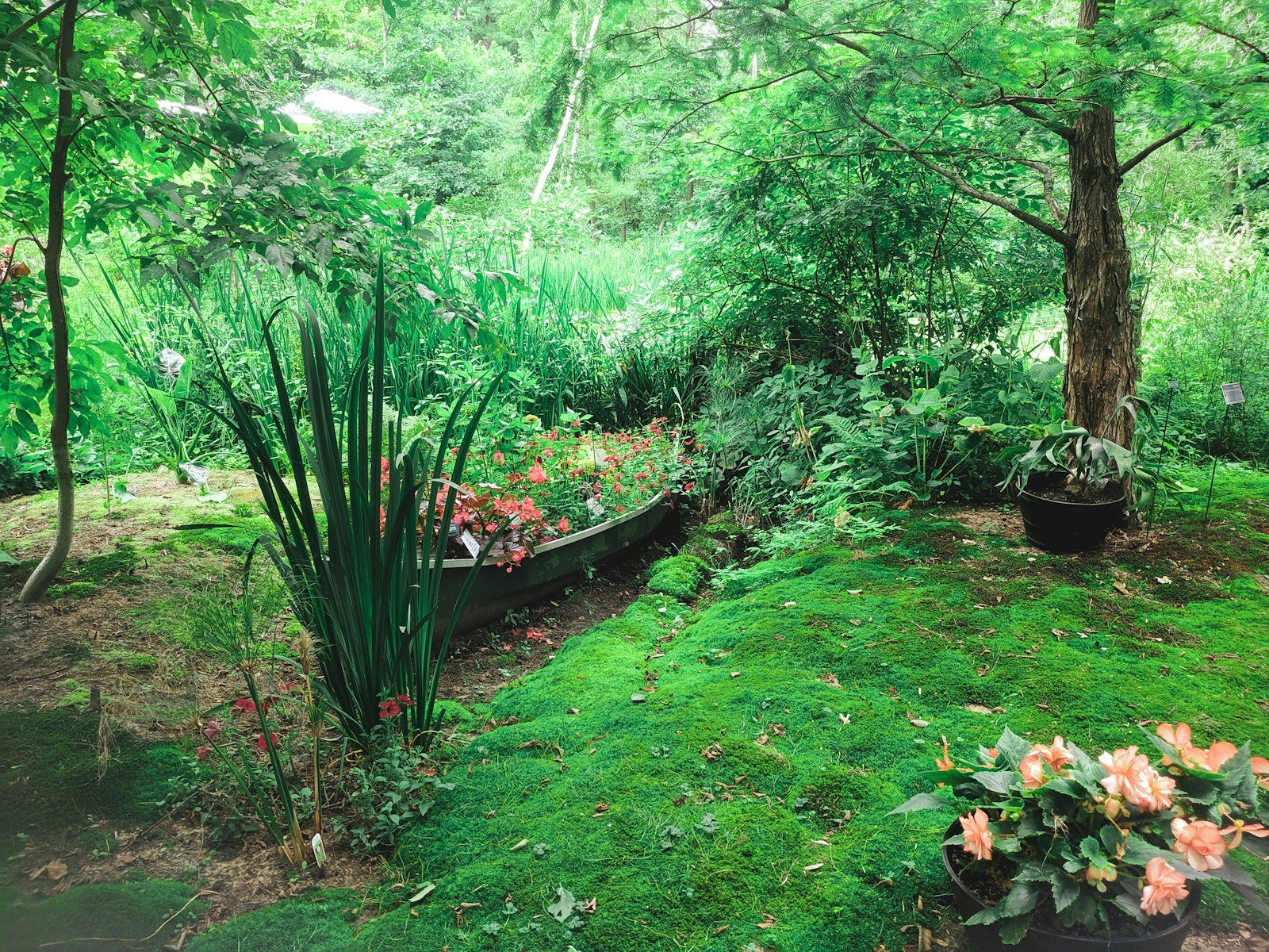 Solid wooden garden furniture arranged on a patio beside greenery