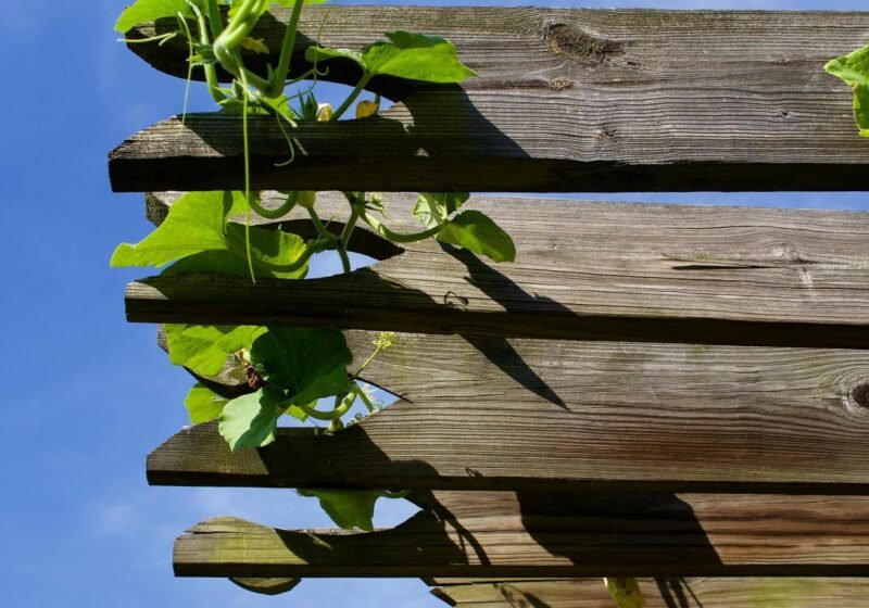 Metal Pergola: Aluminium, Steel and Planning Considerations
