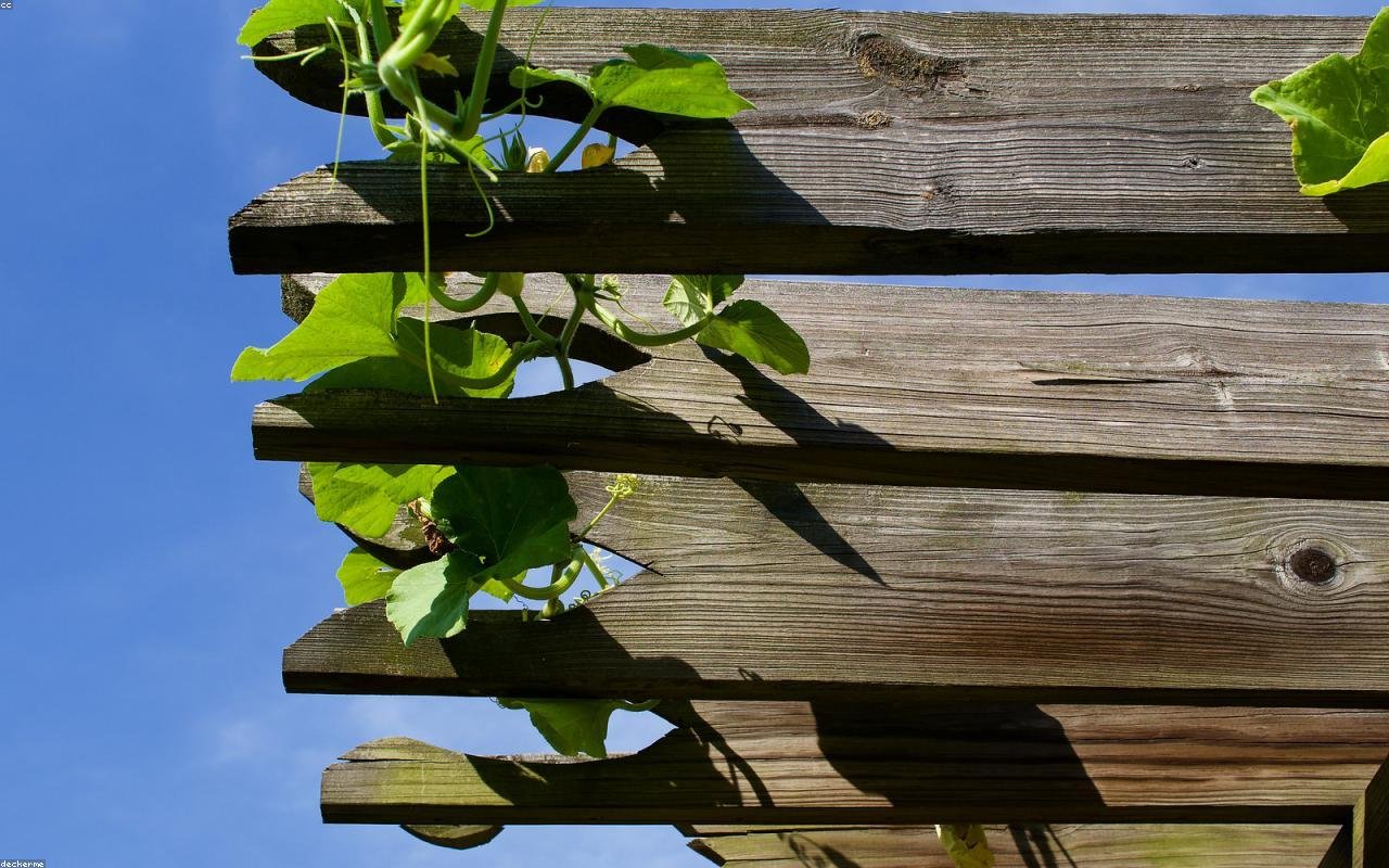 metal pergola arranged in a practical UK setting