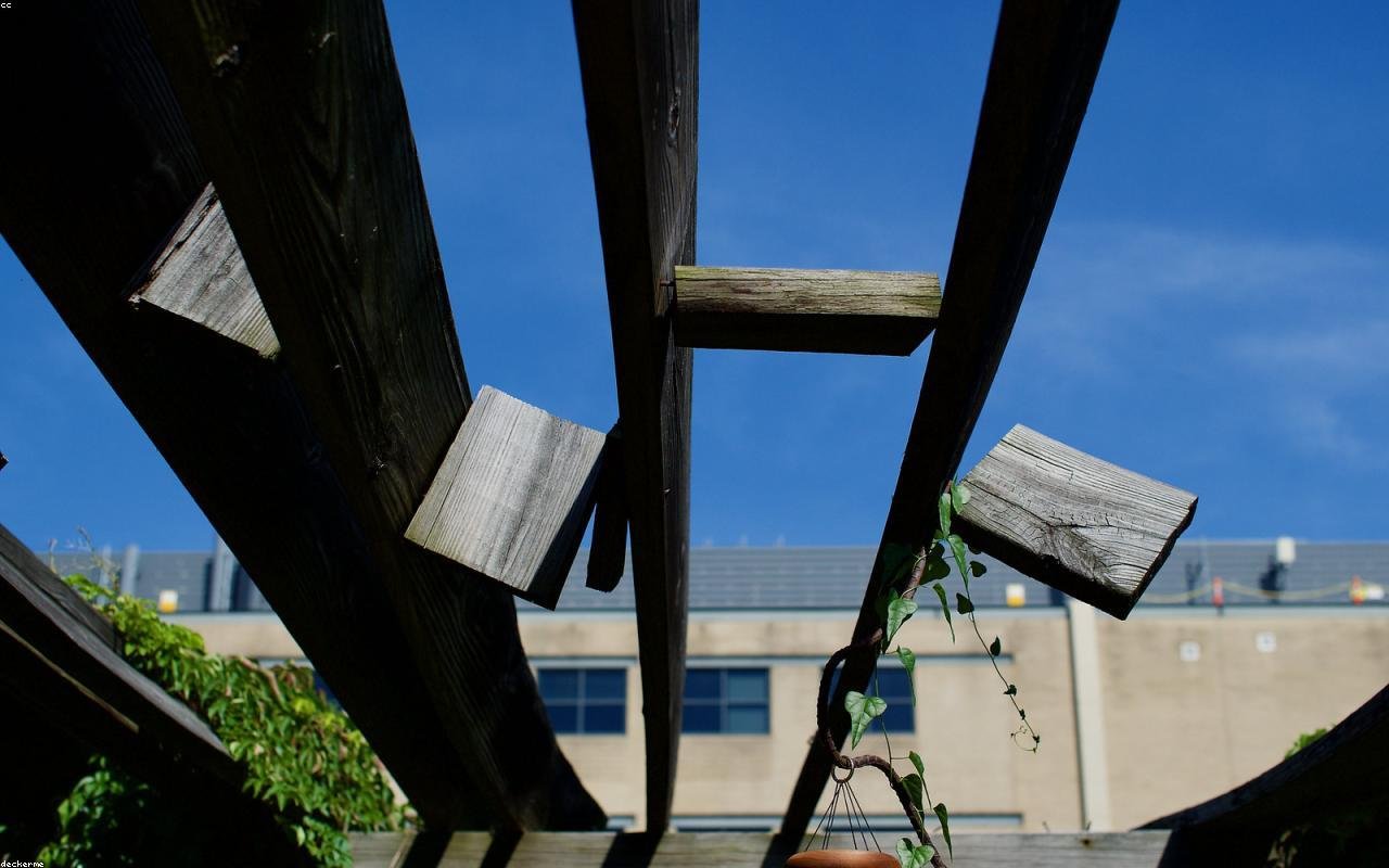 close detail showing how to plan metal pergola