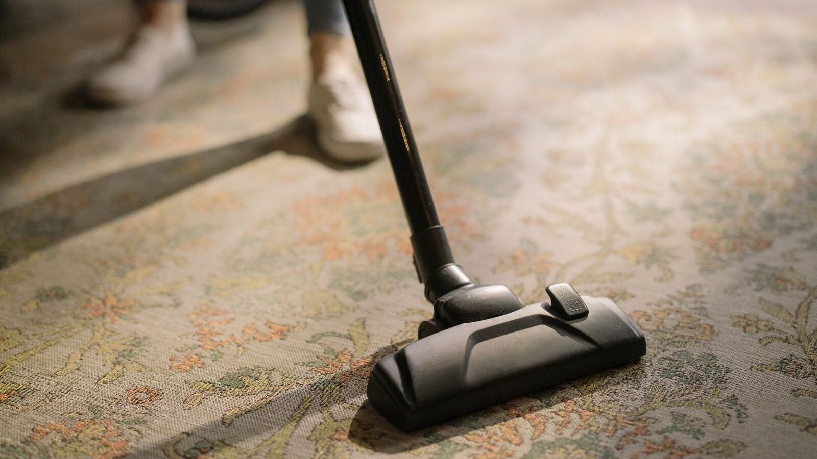 Vacuum cleaner working across a patterned carpet during moth prevention