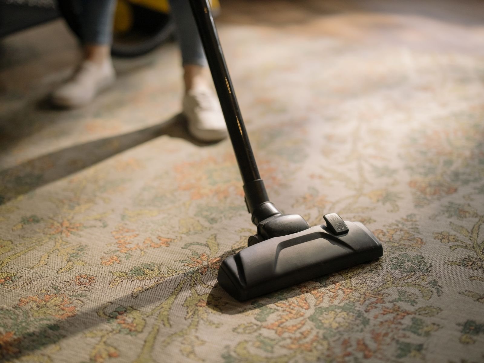 Vacuum cleaner working across a patterned carpet during moth prevention