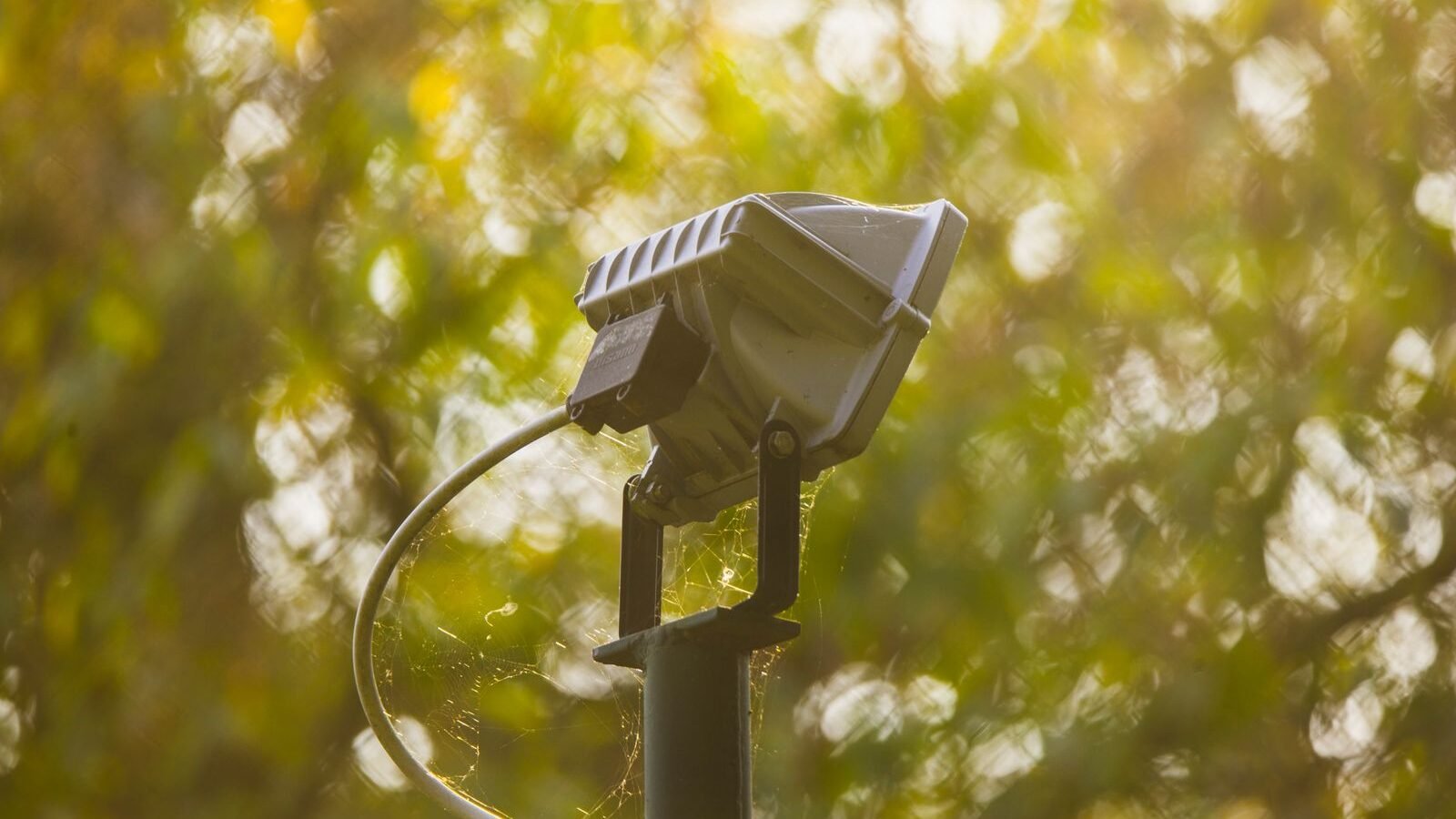 Adjustable outdoor garden spotlight aimed into planting