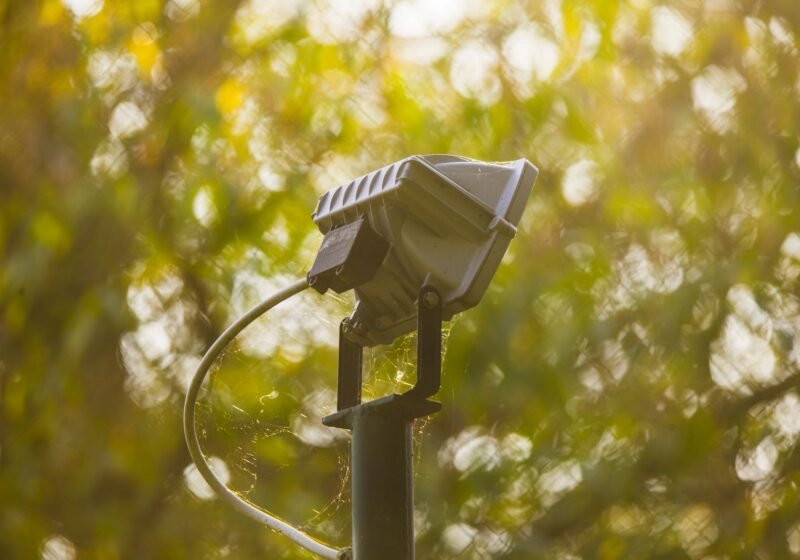 Garden Spotlights: A UK Guide to Beam Choice, IP Ratings and Safe Installation