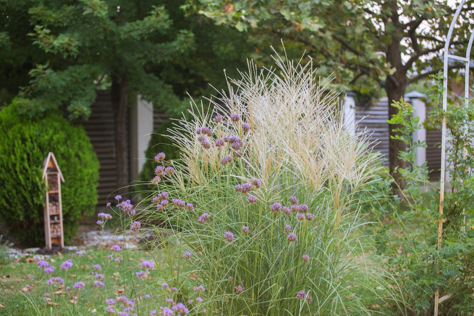 Ornamental grasses and a garden insect hotel in a planted border