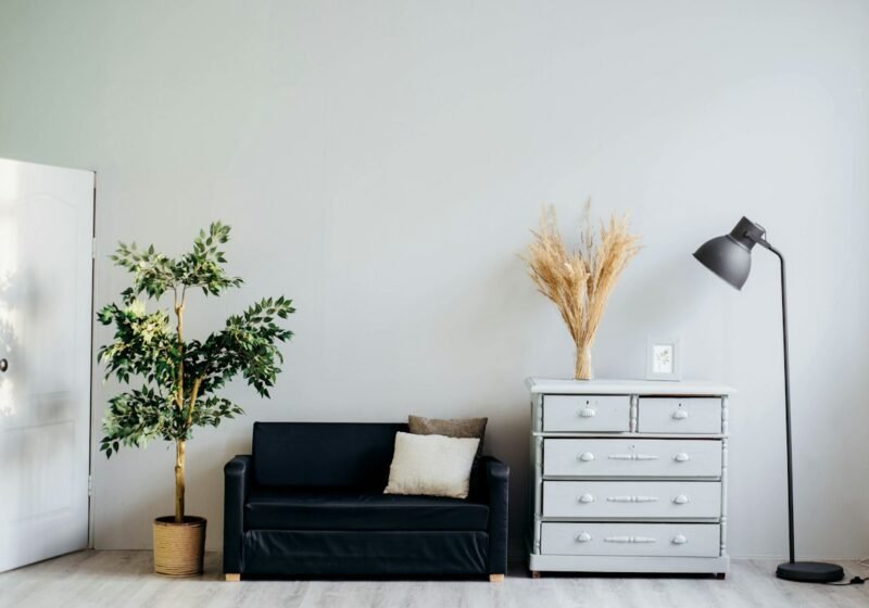 Dado Moulding: How to Choose the Right Profile, Size and Material