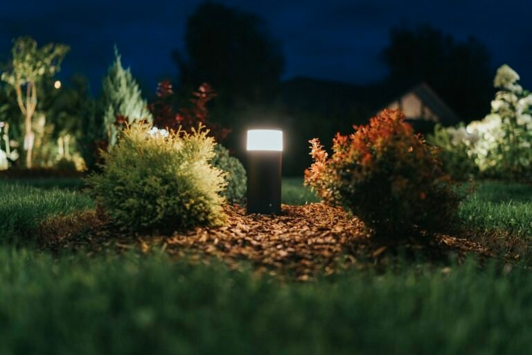 Warm garden lights illuminating a planted border and lawn at dusk